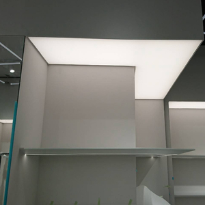 Siliconen rand grafische LED frameless plafond lichte doos